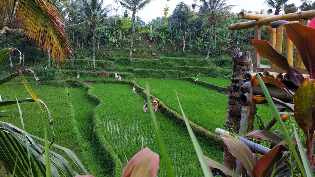 Bale Kembang Kuning Apartment Tetebatu Ngoại thất bức ảnh